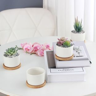 �մɶ��⻨�肀��͸���k���̨��������������С���莧����