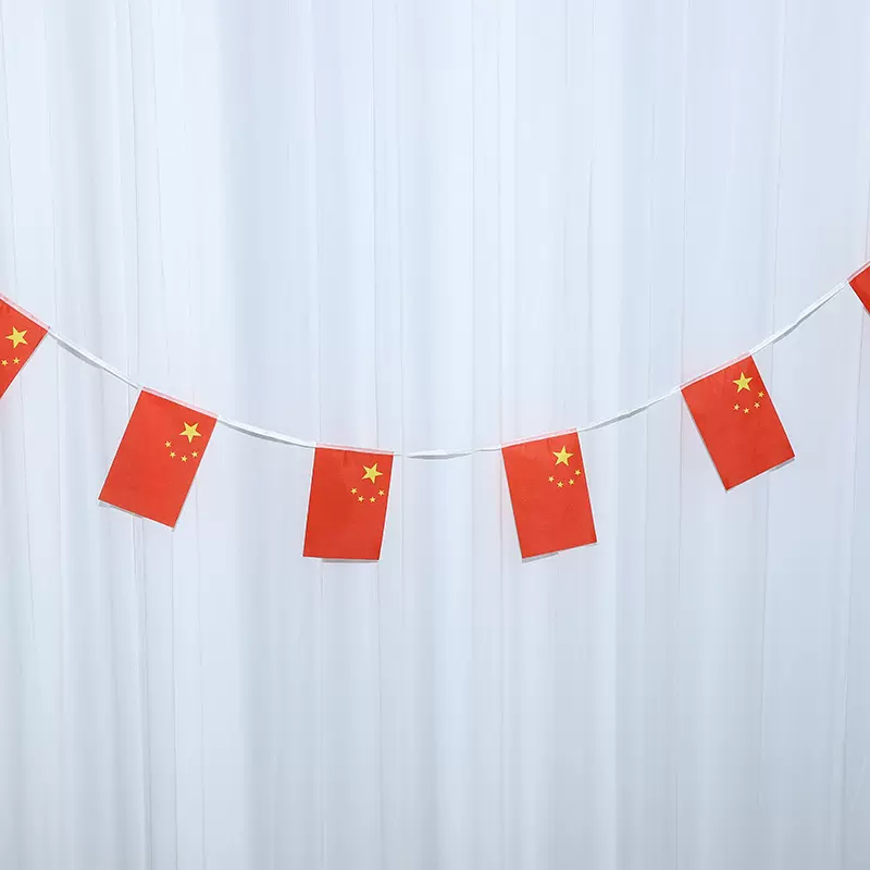 8号14*2115面中国国旗串旗红旗节日庆典适用各场合喜庆五星红旗
