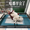 Dogs toilet Large dogs Golden Retriever Husky Diaper Big Dog pet Supplies Stainless steel cross Bracket