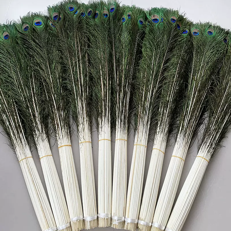 天然孔雀毛批发羽毛摆件除尘掸装饰材料饰品服装辅料边翎孔雀真毛