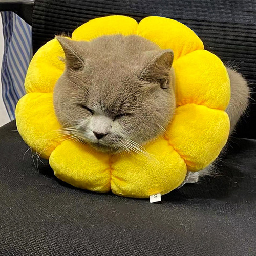 Cat Anti-Licking Collar Head Cover Elizabeth Soft Collar Cute Lightweight Adjustable Neck Collar Filled with Cotton Sunflower Shaped