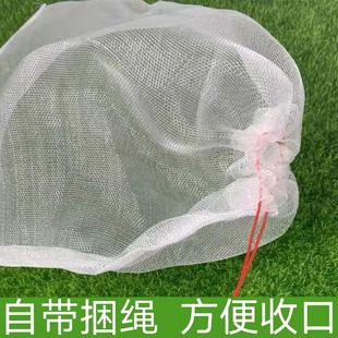 ���x�����W��ˮ�����N�����D���c���ȳ��K�W���Y�������ռ{����