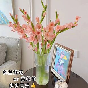 ���m�r��ˮ���r�л������яV�ݼ�ͥ����ֱ��ֱ�l�͏d�廨ͬ�����f