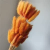 Dark orange rabbit tails of about 60 pieces of about 60