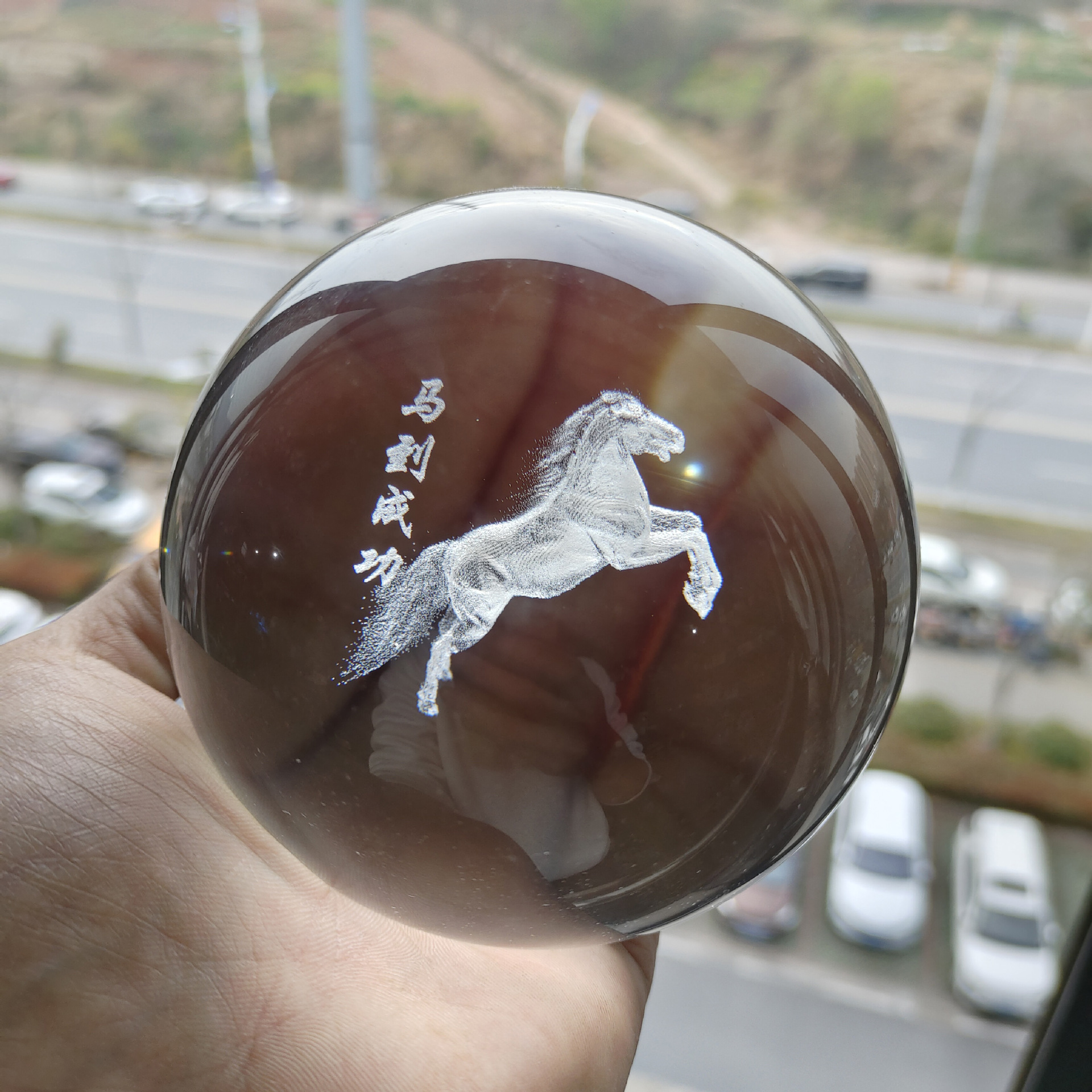 El caballo de la bola de cristal tiene éxito