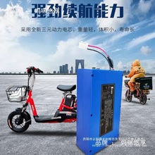 爱玛电动电瓶车锂电池48V12AH台铃外卖电瓶15ah雅迪模块内置通用