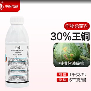 �ڿ����䌚30%���~���ټ����ԝ�����o���rș������
