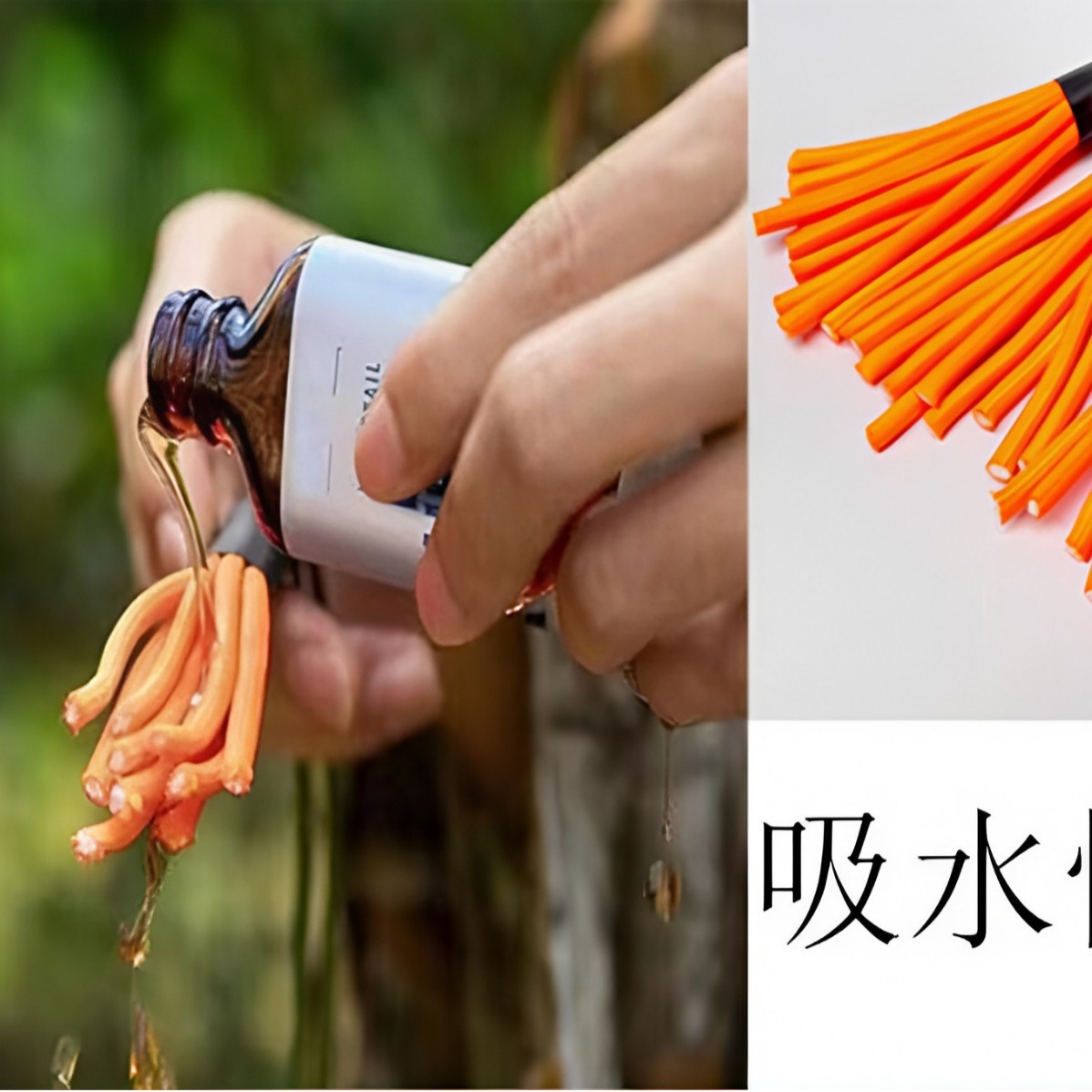 2024-10-12 16:47:34.jpg