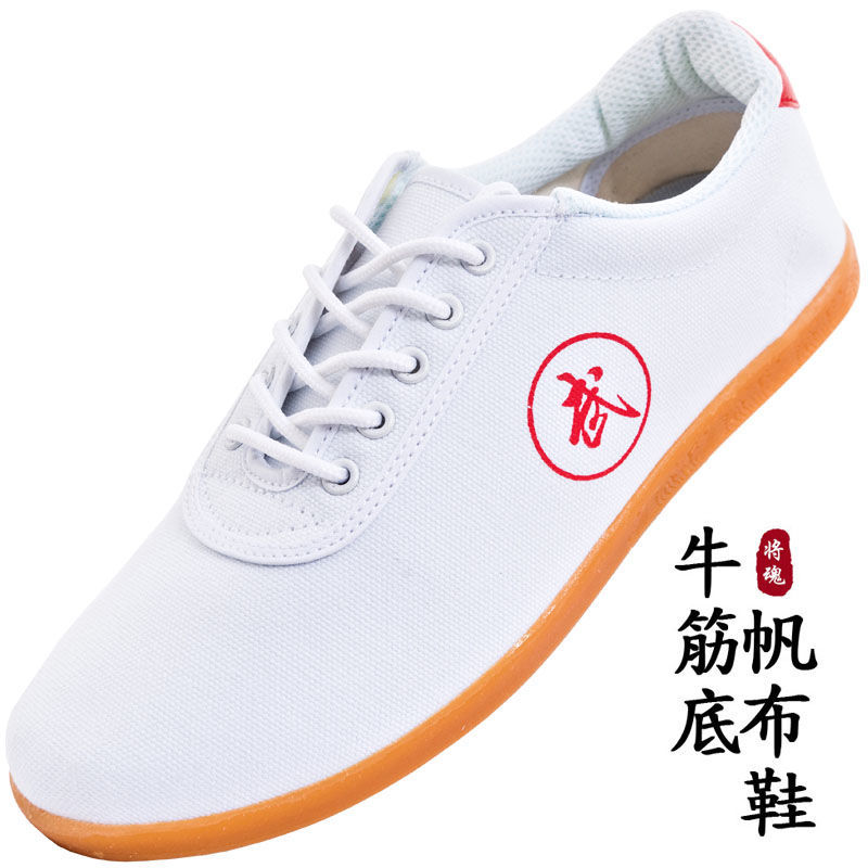 Taiji shoes Cloth shoes men and women White shoes canvas shoe Dichotomanthes bottom Practice shoes ventilation non-slip perform train Martial arts shoes