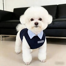 �����¿��ļ������·�ѩ�{�����ߵر���POLO�I��Ȯ��С���·���