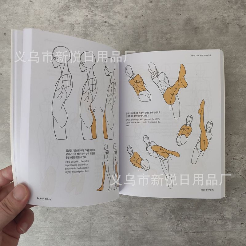 新款Character Drawing Secrets 人物绘图秘密人物绘图点法集|undefined