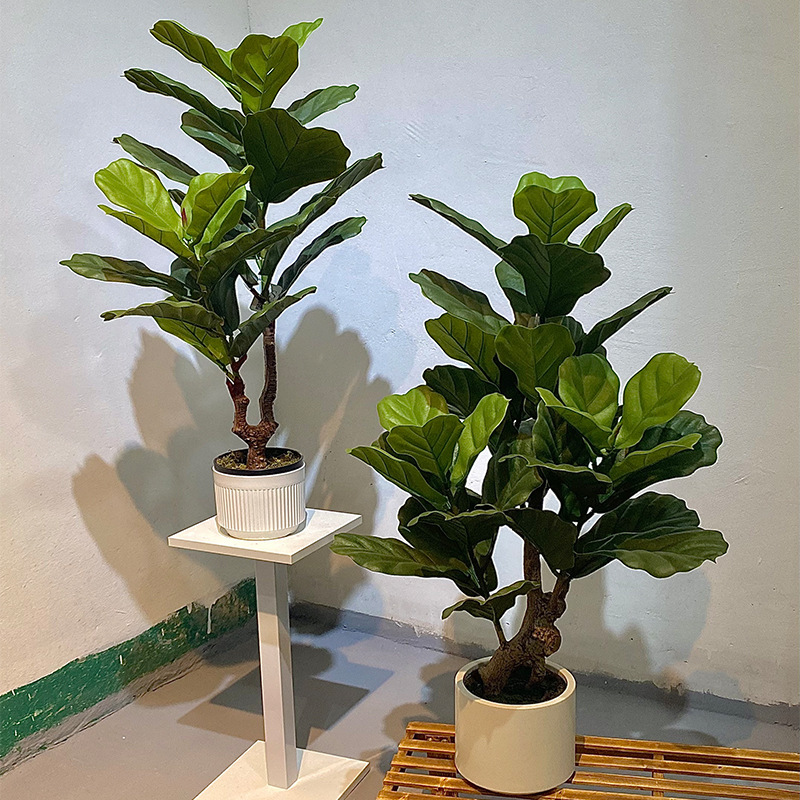 仿真绿植琴叶榕落地盆栽·室内大型摆件装饰仿真植物假树|undefined