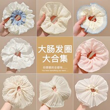 2026�¿���|�ٽz��߅���c�lȦ�ٴ�߼������^�l�KŮ�^l�