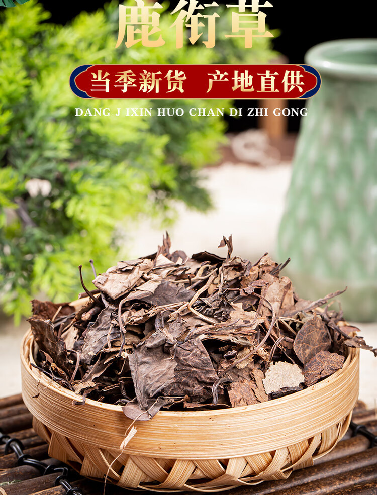 Lu Xian Cao Dried Herb 1000g Pyrola Whole Plant Traditional TCM Herbal Tea and Decoction Ingredient overview