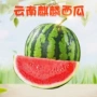 云南新鲜手撕应季水果