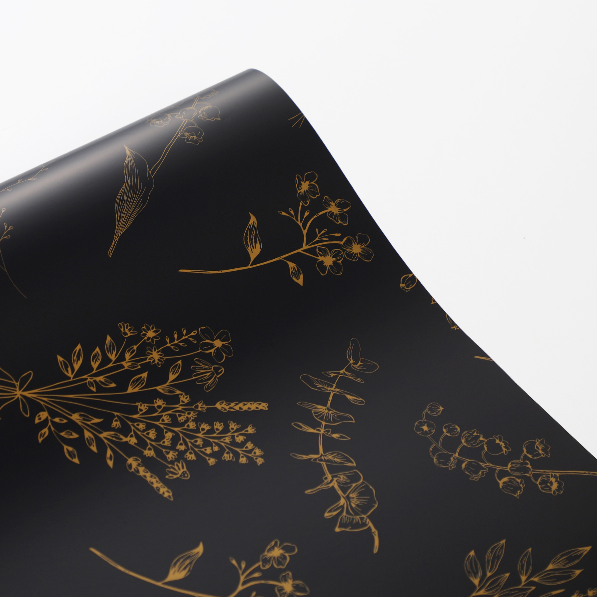 Negro; 56cm, 20 hojas