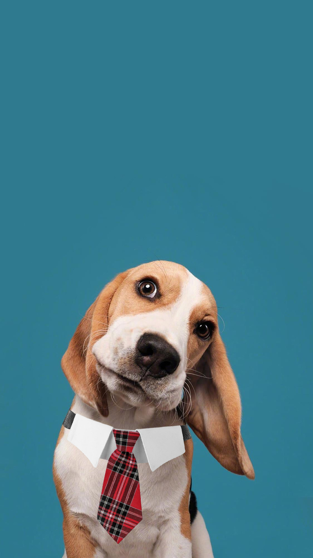 微信图片_20221209191453