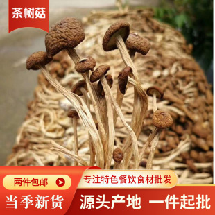������؛δ�_���乽 ʳ�þ����l��乽�_���؛ɢ�bһ�������l