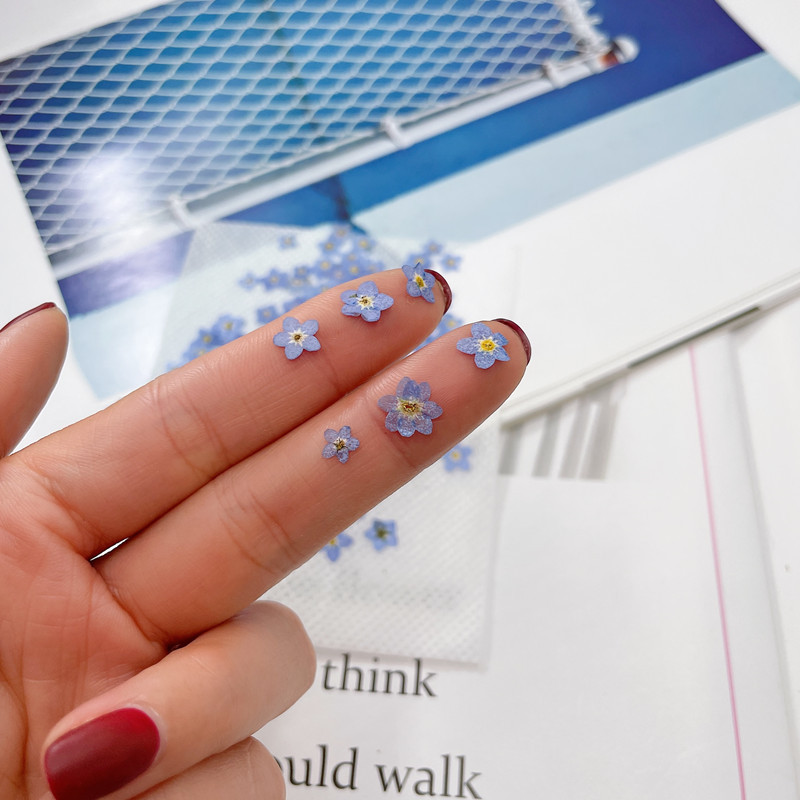 微信图片_20211019151627_副本