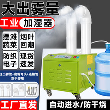 IӝFCôͼ܇g߲˱rC