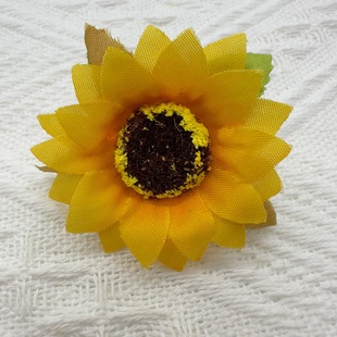 ���Sֱ�N4.5cm���控�~̫ꖻ����տ� ���������ջ��r�ջ��^�ɻ�