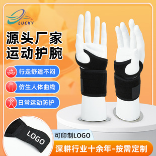 ��ë��������������P���\���o���ƽ��톡�Ӗ�����P���\���o����