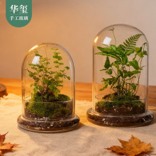 微景观玻璃罩创意透明diy永生花防尘罩多肉植物闷养罩厂家批发