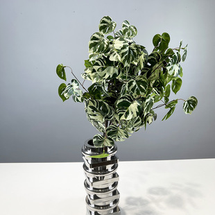 3�����������~�Ҿ��b�ɭϵ��Y���÷��������~�Gֲ���Է���ֲ��