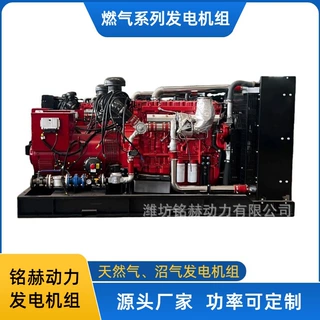 玉柴燃气发电机组300/500/800千瓦 医院商业区常用备用电源厂家