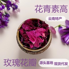 녑����l�����B�������������ر�������ī�tõ����ɻ����