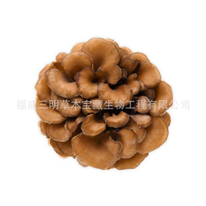 Fujian Origin Origin Ash Tree Flower Dry Good