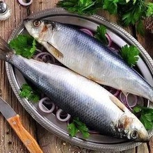 ���l���r������E�~  �E�~ �D���~  ���^ԭ�� �����^���