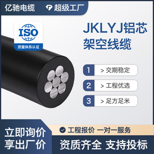 10KV�߉�JKLYJ�ܿ���| 1x25-1x300ƽ���^�����ϻ�늾W���O�F؛