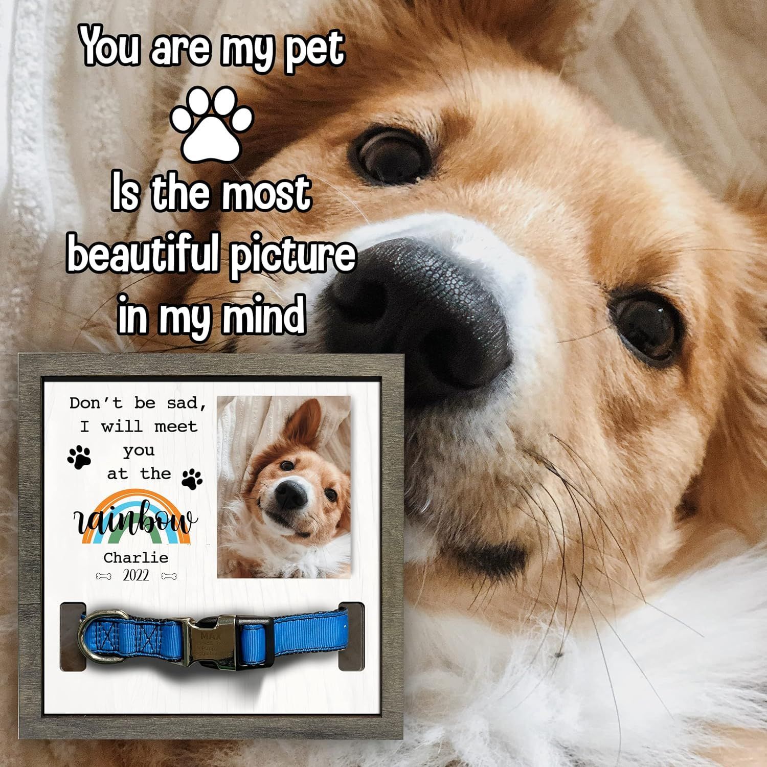 El marco conmemorativo de madera para mascotas puede contener collar Mesa Arco Iris marco de fotos para mascotas regalo perdido para mascotas de madera