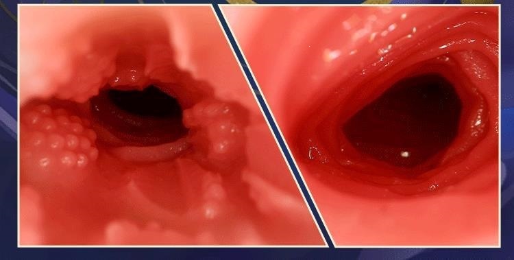 Shan Hai Jing Fox Spirit Male Masturbator, Manual TPE Hip Replica, Flesh Tone — detail image 23
