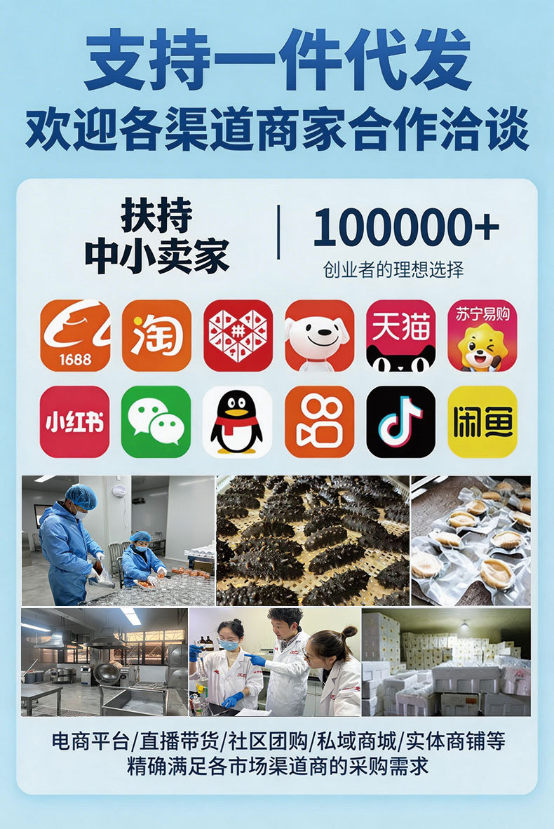 Ready to Eat Sea Cucumber Liaoning Stichopus Frozen Cooked 500g quality and texture