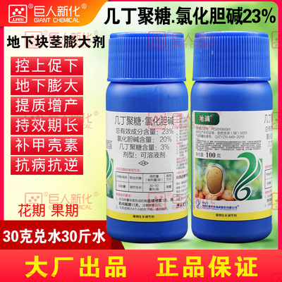 Chitosan chlorination Choline 23% Potato Botany Grow Regulator Florescence Underground Expand