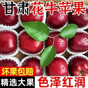 �����𡿸��C��ˮ��ţ�O���������䑪�ڿ��߹��ЋD���������O��