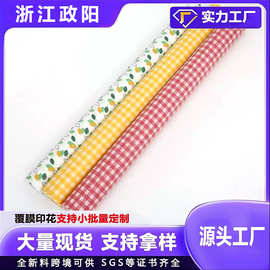 源头工厂纺粘无纺布直销来样定做户外野餐垫专用面料彩印覆膜淋膜