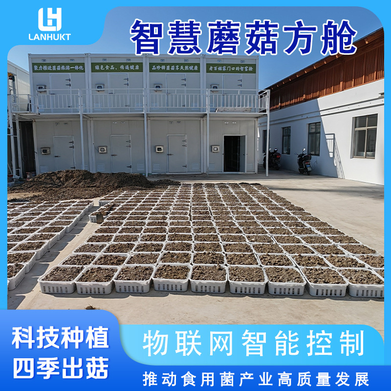 Container-type smart mushroom growing pod suitable for all seasons, mushroom cultivation pod from the source factory
