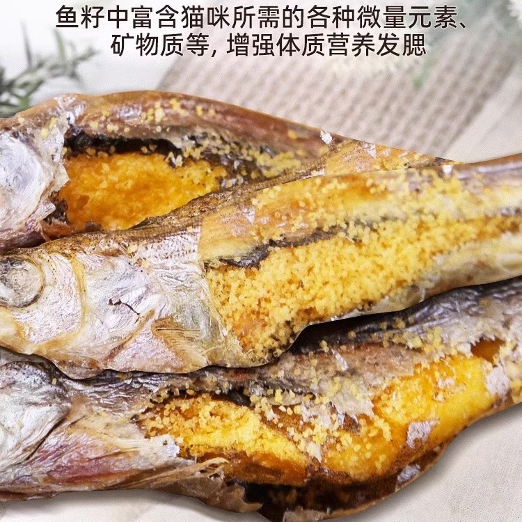 Aperitivos para gatos liofilizados de pescado de primavera, suplementos de calcio, pescado seco lleno de semillas, nutrición, bocadillos para gatos, recompensas de entrenamiento para mascotas