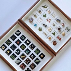 Hollow 1.5D 24-grid photo frame DIY handmade cardstock specimen seashell dried flower plant creative quilling frame