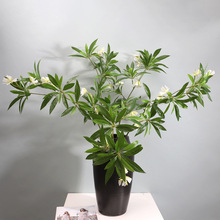 �����֦3D��ӡˮʯ�� ��ʽ�U��ܛ�b�b廨�Gֲ����ˮʯ��