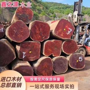 ���黨��ľ �㻨���� �t̴��ľ�� ���l�������̴�y��Ư��