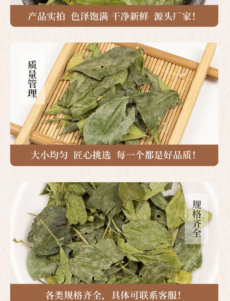 Jiu Li Xiang Dried Murraya Root 500g Premium Chinese Herb for Decoction specifications