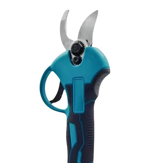 2025-09-15 23:50:17.jpg