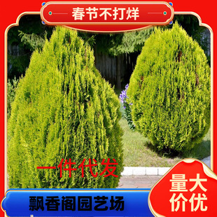 һ�����l����ؘ������Ե��Ԟ�������S���С��Ȱؘ��������ɹ�