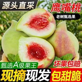 速冻中式面点;传统糕点;月饼