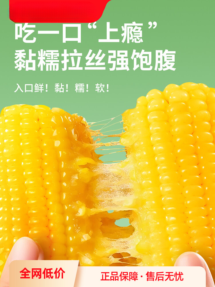 新鲜花甜糯玉米棒新鲜白黄黑彩玉米真空装非即食无糖精