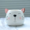 Bright light-kitten